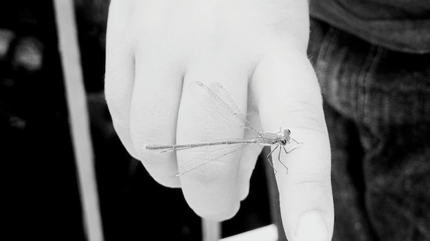 ręka trzymająca igłę